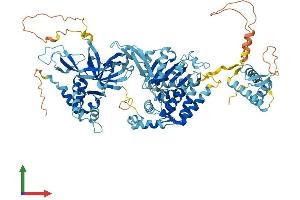 AlphaFold protein structure predicition of Mouse Recombinant Mcm6 Protein, UniprotID P97311