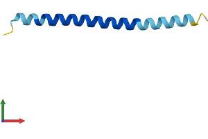 AlphaFold protein structure predicition of Human Recombinant COX14 Protein, UniprotID Q96I36