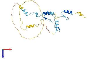 AlphaFold protein structure predicition of Human Recombinant JAZF1 Protein, UniprotID Q86VZ6