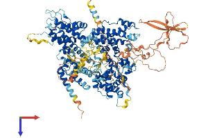AlphaFold protein structure predicition of Mouse Recombinant Rbl1 Protein, UniprotID Q64701