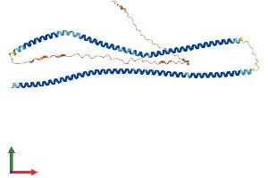AlphaFold protein structure predicition of Human Recombinant BFSP2 Protein, UniprotID Q13515