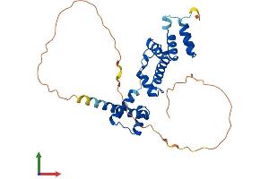 AlphaFold protein structure predicition of Human Recombinant SIX2 Protein, UniprotID Q9NPC8