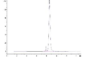 The purity of Human CD48 is greater than 95 % as determined by SEC-HPLC.