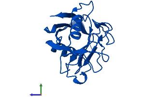 AlphaFold protein structure predicition of Mouse Recombinant Ppia Protein, UniprotID P17742