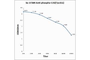 Antigen: 0. (CrkL anticorps  (pTyr251))