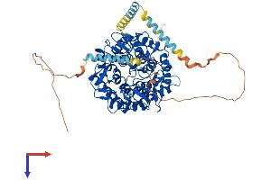 AlphaFold protein structure predicition of Mouse Recombinant Man1a1 Protein, UniprotID P45700