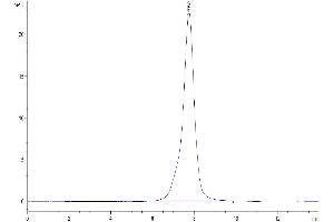 Osteoactivin (GPNMB) (AA 23-502) protein (His tag)