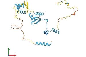 AlphaFold protein structure predicition of Human Recombinant GTF2E2 Protein, UniprotID P29084