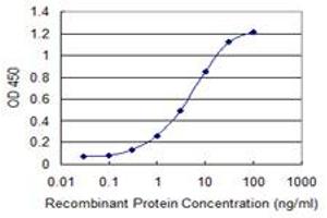 Detection limit for recombinant GST tagged ZBTB33 is 0. (ZBTB33 anticorps  (AA 564-673))