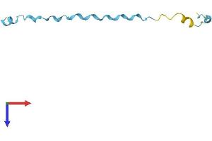 AlphaFold protein structure predicition of Human Recombinant SPRR2F Protein, UniprotID Q96RM1