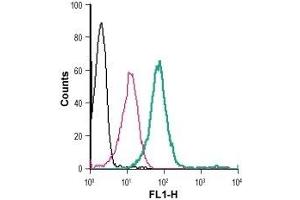 Cell surface detection of Kir2.