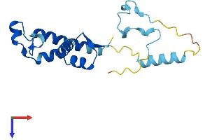 AlphaFold protein structure predicition of Human Recombinant ZMAT5 Protein, UniprotID Q9UDW3