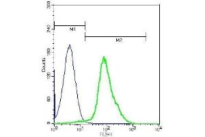 Mouse thymocytes probed with Rabbit Anti-CD151 Polyclonal Antibody, Unconjugated .