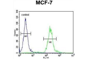 AVPI1 Antibody (N-term) flow cytometric analysis of MCF-7 cells (right histogram) compared to a negative control cell (left histogram). (AVPI1 anticorps  (N-Term))