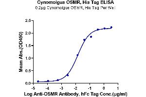 Immobilized Cynomolgus OSMR, His Tag at 2 μg/mL (100 μL/well) on the plate. (Oncostatin M Receptor Protein (OSMR) (AA 28-737) (His tag))