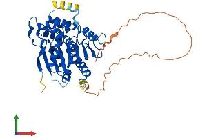 AlphaFold protein structure predicition of Human Recombinant NDRG4 Protein, UniprotID Q9ULP0