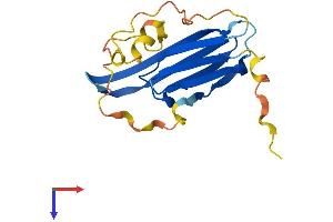AlphaFold protein structure predicition of Mouse Recombinant Hspb6 Protein, UniprotID Q5EBG6