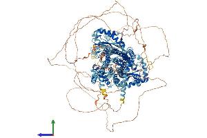 AlphaFold protein structure predicition of Mouse Recombinant Disp1 Protein, UniprotID Q3TDN0