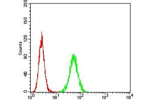 Flow cytometric analysis of Hela cells using HTR3A mouse mAb (green) and negative control (red). (Serotonin Receptor 3A anticorps  (AA 24-157))