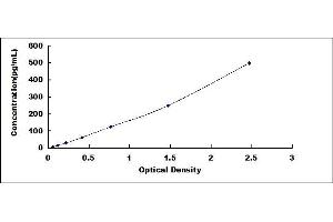 Typical standard curve