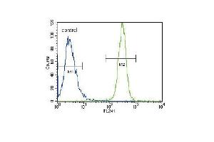 LYN Antibody (N-term) (ABIN392102 and ABIN2841856) flow cytometric analysis of Hela cells (right histogram) compared to a negative control (left histogram).