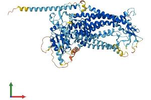 AlphaFold protein structure predicition of Mouse Recombinant Ano6 Protein, UniprotID Q6P9J9