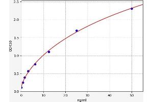 Typical standard curve (CADM3 Kit ELISA)