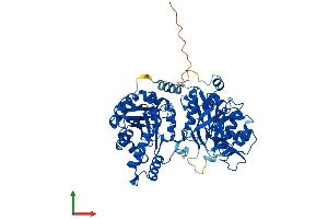 AlphaFold protein structure predicition of Human Recombinant CTPS2 Protein, UniprotID Q9NRF8