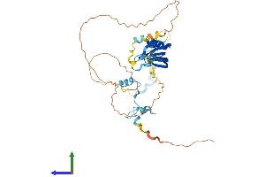 AlphaFold protein structure predicition of Human Recombinant LSM11 Protein, UniprotID P83369
