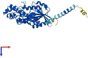 AlphaFold protein structure predicition of Mouse Recombinant Gna11 Protein, UniprotID P21278