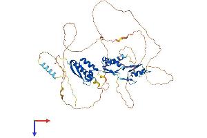 AlphaFold protein structure predicition of Human Recombinant MEX3B Protein, UniprotID Q6ZN04