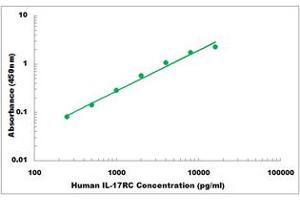 Representative Standard Curve (IL17RC Kit ELISA)