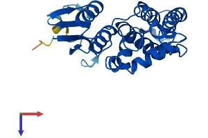 AlphaFold protein structure predicition of Mouse Recombinant Clic3 Protein, UniprotID Q9D7P7