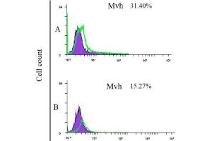 Flow cytometry analysis of mesenchymal stem cells derived from bone marrow (upper) and adipose tissue-derived mesenchymal stem cells (lower) after culturing in the medium contains bone morphogenic protein-4 for 4 days.