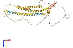 Nuclear Pore Complex Interacting Protein Family, Member A8 (NPIPA8) (AA 1-369) protein (His tag)