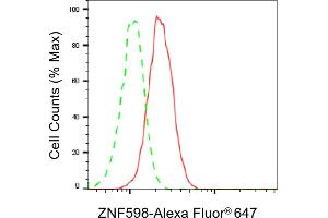 Flow cytometric analysis of ZNF598 expression in HeLa cells using ZNF598 antibody (ABIN7800899), 1:2,000). (ZNF598 anticorps)