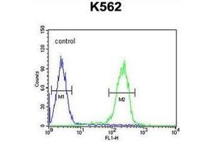 Flow cytometric analysis of K562 cells using RNF185 Antibody  (right histogram) compared to a negative control cell (left histogram). (RNF185 anticorps  (Middle Region))