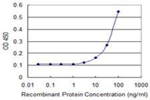 anti-Protein Phosphatase 1, Regulatory Subunit 16A (PPP1R16A) (AA 429-528) antibody