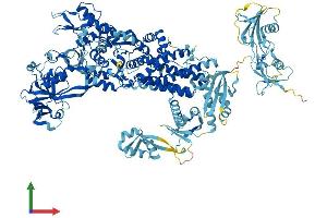 AlphaFold protein structure predicition of Mouse Recombinant Iars1 Protein, UniprotID Q8BU30