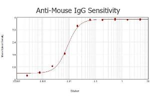 ELISA results of purified Goat anti-Mouse IgG Antibody Peroxidase Conjugated (Min x Human Serum Proteins) tested against purified Mouse IgG. (Chèvre anti-Souris IgG (Heavy & Light Chain) Anticorps (HRP) - Preadsorbed)