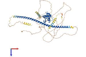 AlphaFold protein structure predicition of Mouse Recombinant Dach2 Protein, UniprotID Q925Q8