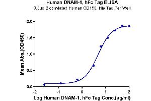 Immobilized Biotinylated Human CD155, His Tag at 5 μg/mL (100 μL/well) on the plate.