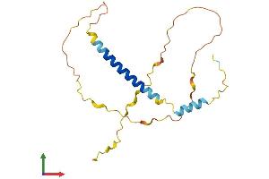AlphaFold protein structure predicition of Mouse Recombinant Bbc3 Protein, UniprotID Q99ML1