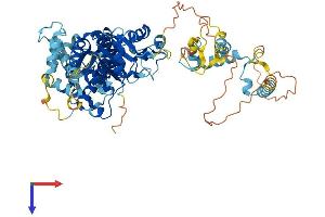 AlphaFold protein structure predicition of Mouse Recombinant Ecd Protein, UniprotID Q9CS74