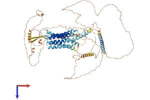 G Protein-Coupled Receptor 156 (GPR156) (AA 1-814) protein (His tag)