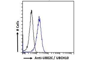 ABIN184805 Flow cytometric analysis of paraformaldehyde fixed HeLa cells (blue line), permeabilized with 0. (UBE2C anticorps  (C-Term))