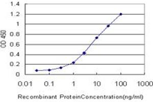 Detection limit for recombinant GST tagged KLK6 is approximately 0.
