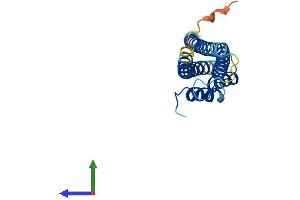 AlphaFold protein structure predicition of Mouse Recombinant Cinp Protein, UniprotID Q9D0V8