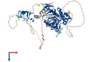 AlphaFold protein structure predicition of Human Recombinant TRMT1L Protein, UniprotID Q7Z2T5