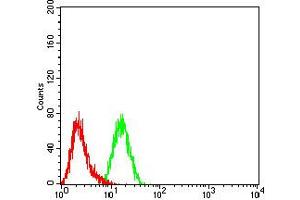 Flow cytometric analysis of K562 cells using CD114 mouse mAb (green) and negative control (red).